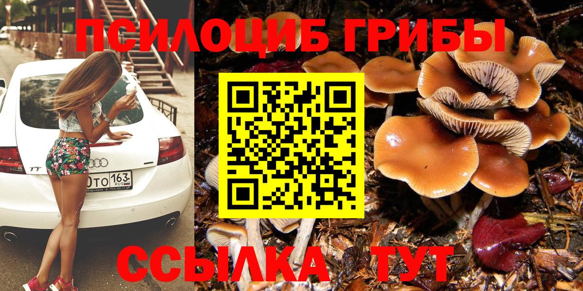 Псилоцибиновые грибы Magic Shrooms  Вход с VPN  купить наркотик  Кумертау 