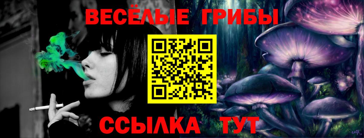 Псилоцибиновые грибы Magic Shrooms Кумертау